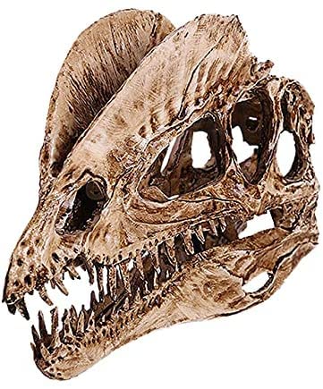 T-Rex Skull Dinosaur Resin Craft Gifts Home Decor Replica Fish Tank Statue Tyrannosaur Skull Skeleton Aquarium Decoration (A) - color: A