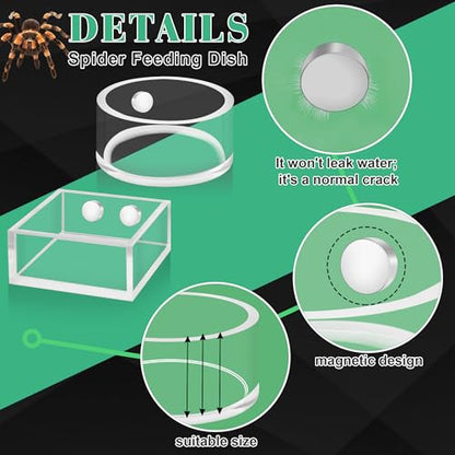 Windspeed 2+1P 1.8 inch Mini Jumping Spider Feeding Dish Magnet Tarantula Water Bowl for Spider Feeder Water Dish for Tarantula Tank Enclosure Accessories, with A Dropper (Square and Round)