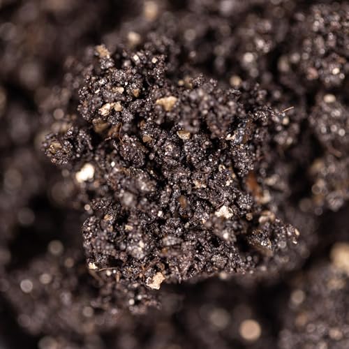 (8-Pack) North Spore CVG (Coco Vermiculite Gypsum) Sterile Bulk Substrate | Ideal for Beginner Growers | Made in USA | Grow Dung-Loving Mushrooms - size: 8 Count