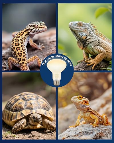 FLSNT 2 Pack Reptile Heat Lamp Bulbs, 75W Basking Light for Amphibian, Bearded Dragon, Lizard, Tortoise, Gecko