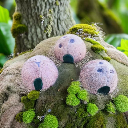 Durable 3 pc Coconut Hide, Natural Home for Guppies, Tetras, Betta Fish, Shrimp, Pleco, Perfect for Your Aquarium, Perfect Hideout for Spiders, Toad, Lizard and Small Crabs, 3 Half Shells (Small)