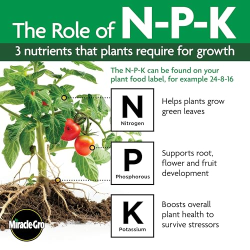 Miracle-GRO Tropical Houseplant Food - Liquid Fertilizer for Tropical Houseplants, 8 fl. oz. - size: 1 Pack, style: Plant Food