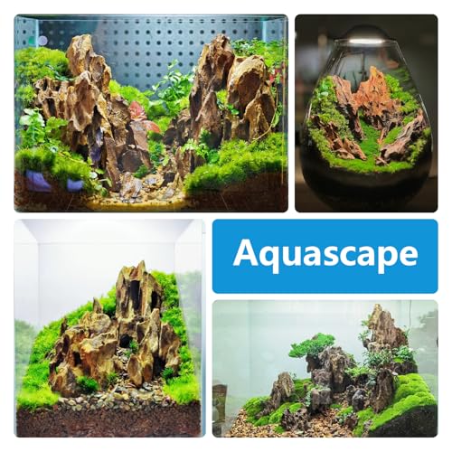 Natural Stone 20lb Aquarium Rocks for Aquarium Landscaping Models and PH Neutral Rocks Aquascaping Stones for Terrariums-2-8 inches - size: 20LB(2-8 inches)