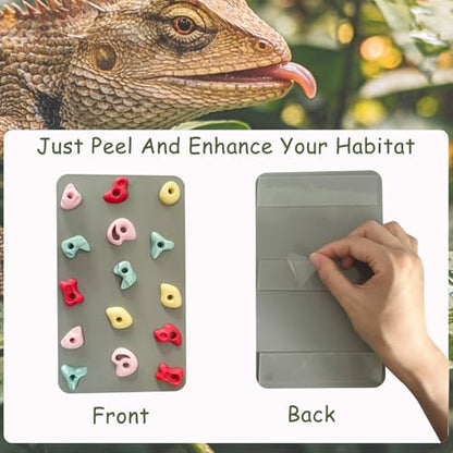 3D Reptile Climbing Wall, Natural Textured Habitat Decor for Bearded Dragons, Leopard Geckos, Lizards, Snakes, Frogs & Amphibians – Terrarium & Paludarium Tank Accessories