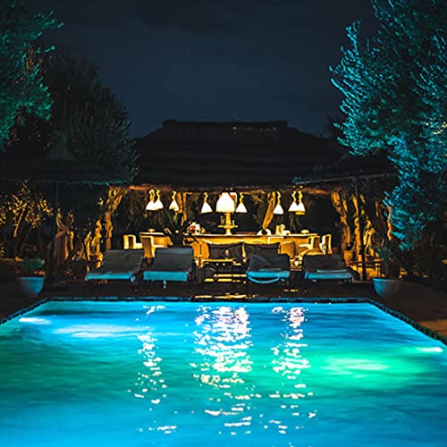 BSOD LED Strip Lights for Boats,12V Outdoor RGB Underwater Rope Light Real IP68 Waterproof Strip 16.4ft Marine Fish String Flexible Green/Red/Blue Light for Swimming Pool Boat Fish Tank - color: RGB (Red, Green, Blue)