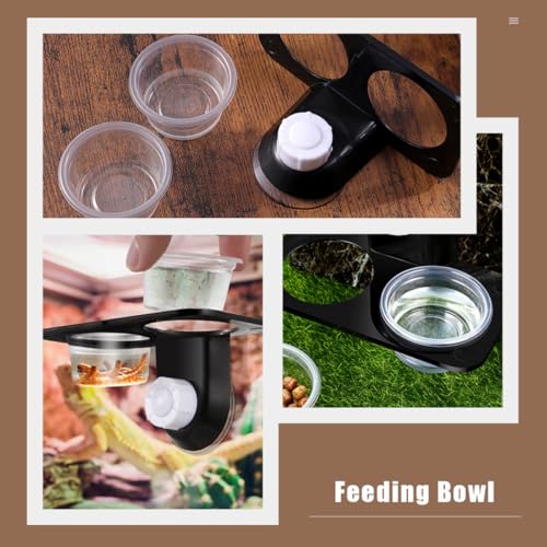 Healifty 2pcs Reptile Feeder Bowl with Suction Cups, Dual-Compartment Stable Plastic Worm Container, Escape-Proof Food and Water Dish for Lizards, Geckos, and Crawling Pets