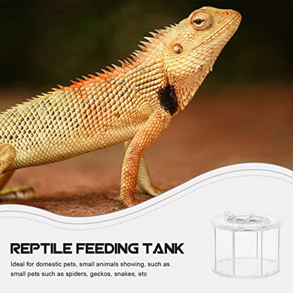 Box Insect Display Containers Reptiles Breeding Container Pet Supply Reptile -Escape Case Showing Case Clear Habitat Crawling Pet Holder Breeding Cage