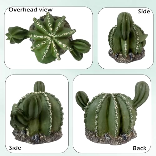 IBWell Resin Cactus Leopard Gecko Hide Reptile Cave，Desert Terrarium Décor，Bearded Dragon Hideout, Small Reptile Hide