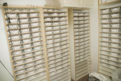 Nature Zone HerpPro Hatch Kit Hatching Reptile Eggs, Lizards, Snakes, Pythons, Tortoises, Turtles