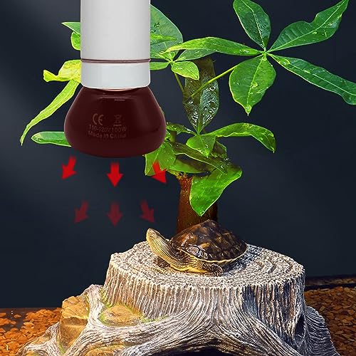 Mini Reptile Heat Lamp, 25w Infrared Ceramic Heat Emitter, No Light Emitting Reptile Heat Bulbs,Ceramic Heat Lamp for Amphibian, Chicken Coop,Cat, Turtle, Snake,Terrarium (1, 50 W) - size: 50 W