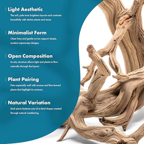 SubstrateSource Natural Aquarium Driftwood for Fish Tanks, Terrarium, Reptile Habitats, Freshwater Aquatic Decor - Small to Large Pieces (Ghost Wood (Small) 8-12", 3 Pieces) - size: 3 Pieces