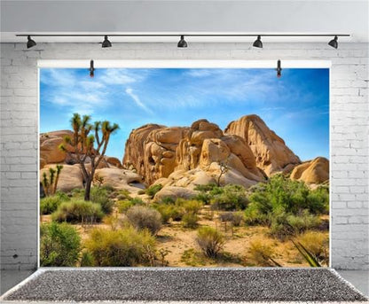 8x6ft Bearded Dragon Tank Background Durable Polyester Terrarium Background, Joshua Tree National Park Desert Cactus Sandstone Backdrop for Reptile Habitat Tank - size: 8x6ft