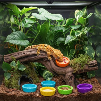 12 Pack Pangea Crested Gecko Food Dish, Reusable Small Reptile Feeding Dish, Water Bowl Gecko Tank Accessories for Hermit Crab Tarantula Isopods Snails Lizard(Silicone, 6 Colors)