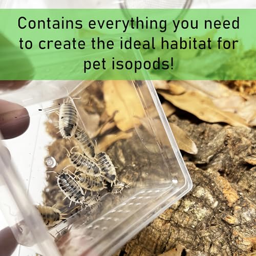 Deluxe Isopod Habitat Kit - Exo-Morphs - Insect Terrarium