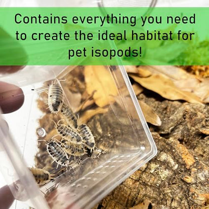 Deluxe Isopod Habitat Kit - Exo-Morphs - Insect Terrarium