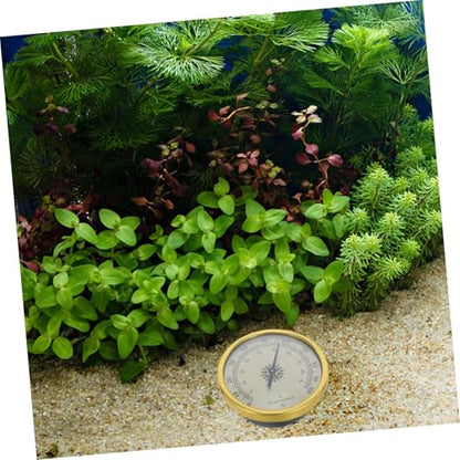 GALPADA Golden and 2% Rh Resolution with High Precision Monitoring Round Hygrometer Analog Surface Mount Humidity Gauge for, Battery-Free Stainless Steel Reptile Terrarium and Indoor Use