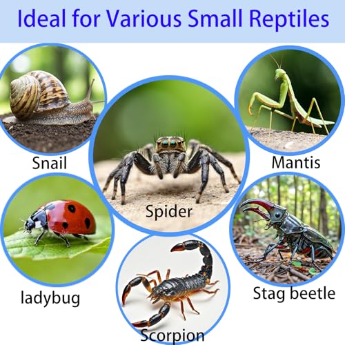 Acrylic Jumping Spider Enclosure,Reptile Enclosure,Bug Habitat, for Small Tree Dwelling Reptiles,Arboreal Tarantula Enclosure, Spider Terrarium Kit,Plastic Terrarium(4.7" X 4.7" X 8") - color: A1