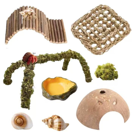 Hermit Crab Accessories – 8PCS Natural Hermit Crab Shells, Coconut Hideout, Climbing Toys Hammock, Moss, Plants & Water Dish, Habitat Decor for Hermit Crabs or Reptile Tank (C-Group-Water Dish). - color: C-group -6pcs-water Dish