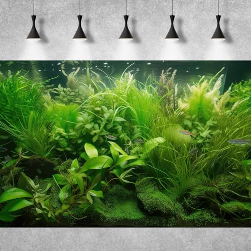 Underwater Aquarium Background Diverse Collection of Aquatic Plants Fish Tank Background Lush Green Seagrass Aquarium Terrarium Background Jungle Style Reptile Habitat Background Vinyl 24x16in - color: Grass Green, size: 24(W)x16(H)in