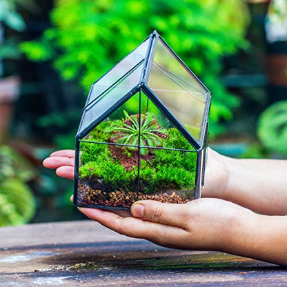 NCYP Mini Glass Terrarium with Lid - 4.25" x 4.25" x 4.92" House Shape Close Geometric Planter Pot for Mini Succulents Plant, Moss - Handmade, Home Garden Office Decor, Black (Terrarium Only) - size: 4.25x4.25x4.92 inches