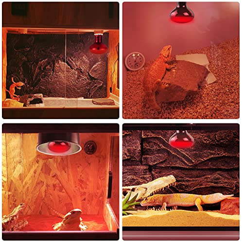 LUCKY HERP Infrared Heat Lamp 100W 2 Pack，Reptile & Amphibian Basking Spot Light Bulbs, Red Heat Lamp Bulbs for Reptiles, Bearded Dragon, Turtle, Lizard, Snake, Chicken - size: 100