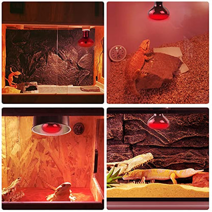 LUCKY HERP Infrared Heat Lamp 100W 2 Pack，Reptile & Amphibian Basking Spot Light Bulbs, Red Heat Lamp Bulbs for Reptiles, Bearded Dragon, Turtle, Lizard, Snake, Chicken - size: 100