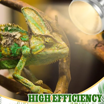 Retisee 4 Pack 100 Watt Heat Lamp Bulbs for Reptiles 120V UVA Simulated Natural Sunlight Heating Lamp Bulb Basking Light for Chickens, Bearded Dragon, Lizard, Gecko, Turtle