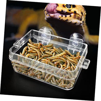 WOONEKY 2pcs Lizard Feeding Bowl Cup Transparent Wall-Mounted Reptile Feeder for Water and Food for Geckos Chameleons and Reptiles and Easy to Clean