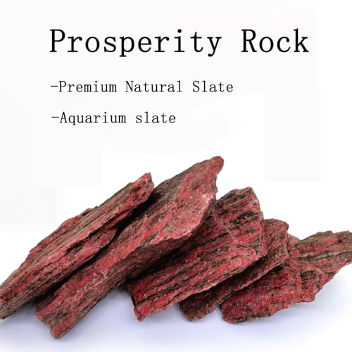 HAELFMRI 20 Lbs Natural Grey Slate Stones - Craggy Layered Rocks for Aquarium Hardscape & Iwagumi, PH Neutral Fish Tank Decor for Shrimp & Cichlids, Mixed Sizes 2-9 Inch for Terrarium