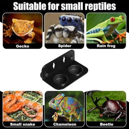 DONGKER Gecko Feeding Ledge,ABS Reptile Feeding Dish with 2 Pack Water Bowl & Suction Cup for Reptile Lizard Bearded Dragon