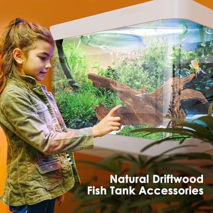 Jorewood Natural Aquarium Driftwood for Fish Tanks & Reptile Terrariums – Safe Fish Tank Decorations, Unique Twisted Branches 3-Piece 7-11 Inch Low Tannin, Easy to Sink - size: Mopani Driftwood 7 to 11 Inch (Pack of 3)