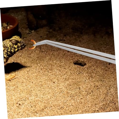 Toddmomy 2pcs Feeding Tongs Plant Curve Aquarium Tweezers Bearded Dragon Food Tongs Tweezers Feeding Fish for Terrarium Extra Long Reptile Supply Silver Stainless Steel
