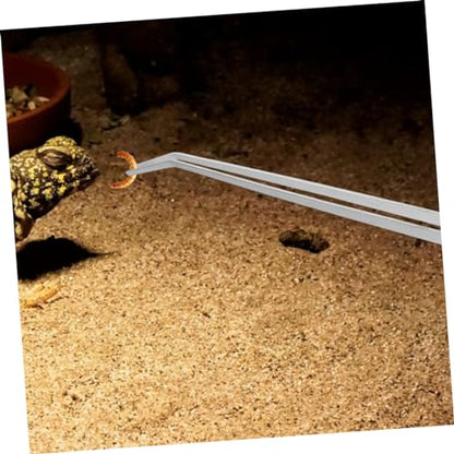 Toddmomy 2pcs Feeding Tongs Plant Curve Aquarium Tweezers Bearded Dragon Food Tongs Tweezers Feeding Fish for Terrarium Extra Long Reptile Supply Silver Stainless Steel