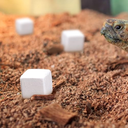 INOOMP 30pcs Reptile Calcium Blocks Supplement for Tortoise Lizard Frog and Chameleon Support Health and Growth Amphibian Care
