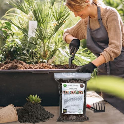 Succulent & Cactus Plant Potting Soil Mix Peat Moss & Perlite, 1 Quart (1qt 4 Level Cups) - size: 1qt