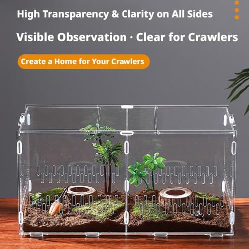  Acrylic Reptile Terrarium,Escape Proof Reptile Tank,Transparent Habitat with Ventilation Holes,for Tarantulas,Spiders,Lizards,Frogs - Easy Snap Assembly,Easy to Clean & Observe(25 * 15 * 15cm)