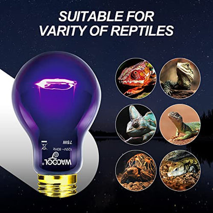 WACOOL 2Pack Reptile Night Heat Lamp, 75W Night Heat Lamp for Reptiles & Amphibians,Simulate Nature Moonlight Purple Night Light for Bearded Dragon Lizard Snake Crab