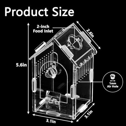 House-Shaped Acrylic Insect Terrarium & Reptile Habitat - Multi-Purpose Insect Enclosure for Jumping Spiders - Clear Acrylic Insect Cage with Ventilation, Easy Maintenance - size: Acrylic House
