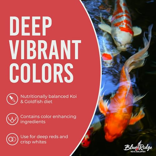 Blue Ridge Koi Fish Food 5lb - Koi Food 3/16” Large and Mini Blend Growth Formula, Goldfish Food, Premium Fish Food for Ponds, Ponds Fish Food, Floating Pond Pellets - size: 5 Pound (Pack of 1)