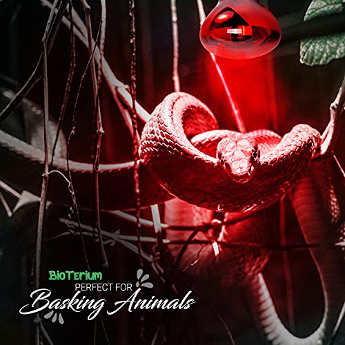 Reptile Heat Lamp Bulb | Full Spectrum Infrared Basking Bulb with UVA + UVB Light | Terrarium 100 Watt Basking Bulb | Self-Ballasted Vapor Amphibian and Reptile Basking Light