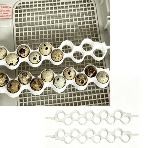 Jumbo Quail Egg Basket for Maticoopx 30 & Zohoko 24 Incubator – Replacement Egg Tray for Large Quail Eggs, Secure Fit Incubation Basket (Mint Green) - color: Mint Green