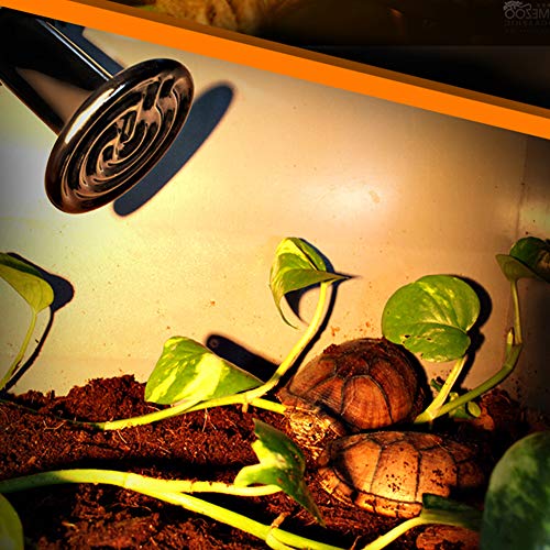 Reptile Heating Lamp Bulb 2pcs Amphibian Ceramic Infrared Heat Lamp Emitter with no Light for Brooder Chicken Coop, Hedgehog, Iguana Lizard Bearded Dragon Turtle Snake(Black, 75W)