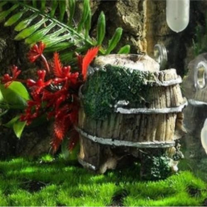 Reptile Breeding Box Jumping Spider Enclosure Jumping Spider Habitat Insects Mantis Faunarium
