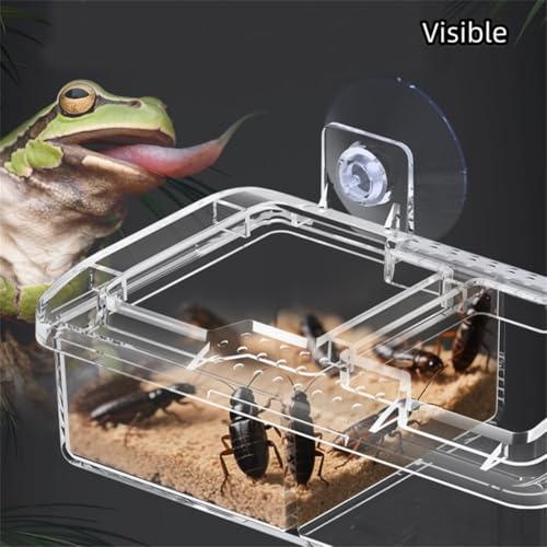Escape Proof Reptile Feeding Dishes with Suction Cups, Small Anti-Escape Mealworms Bug Food Feeder Bowl for Lizard Leopard Gecko Chameleon Terrarium Tank Accessories