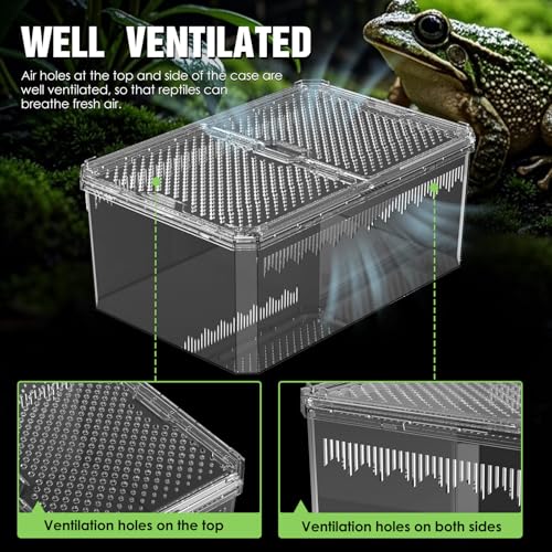 【No Assembly】 Breathable and Secure Reptile Tank with high Transparency - Ideal Container House for Hermit Crab, Tarantula Enclosure, Turtle Tank or Jumping Spider Habitat (L)