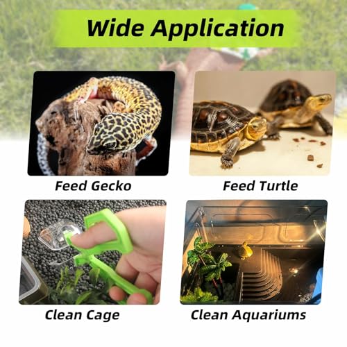 Romansk 3 Pack Reptile Feeding Clamp, Reptile Poop Scoop Reptile Feeding and Cleaning Tool for Gecko Lizard Bearded Dragon and Other Small Animals