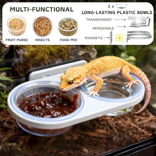 Magnetic Reptile Feeding Ledge with 2 Pack Plastic Bowls Food Feeder Water Dish for Crested Gecko Dwarf Hamster(Gray, Magnetic-Mounted) - color: Gray(Pack of 1）