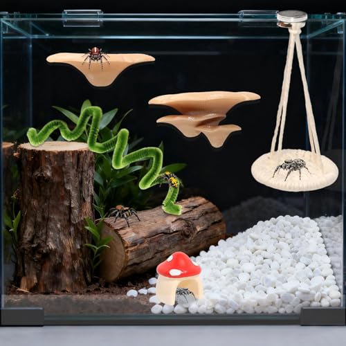 8 Pcs Jumping Spider Hide Enclosure Habitat, Spiders Hideout Climbing Rope Bridge Swings & Web, Mushroom Shelf, Jump Platform with Magnets for Pet Spider Habitat Accessories