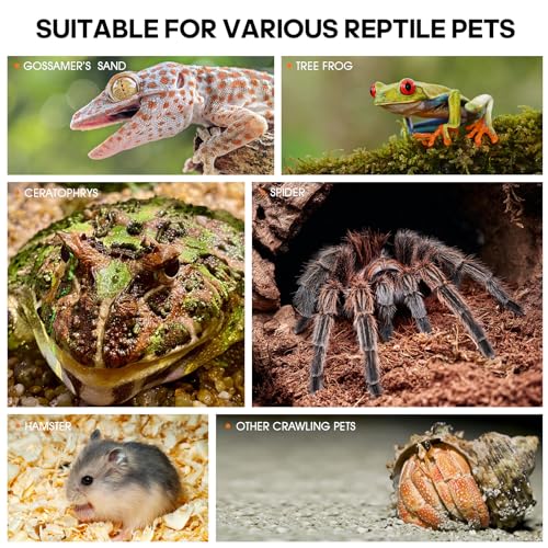 Jumping Spider Enclosure, Insect Terrarium, Bug Cage, Acrylic Terrarium for Tarantula, Snail, Praying Mantis, Frog, and Small Reptiles, Includes Tweezer and Bowl, (11.8" x 7.8" x 5.9") - size: 11.8" x 7.8" x 5.9"