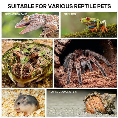 Acrylic Jumping Spider Enclosure - Insect Terrarium for Spiders, Mantises, Tarantulas & Frogs - size: Large